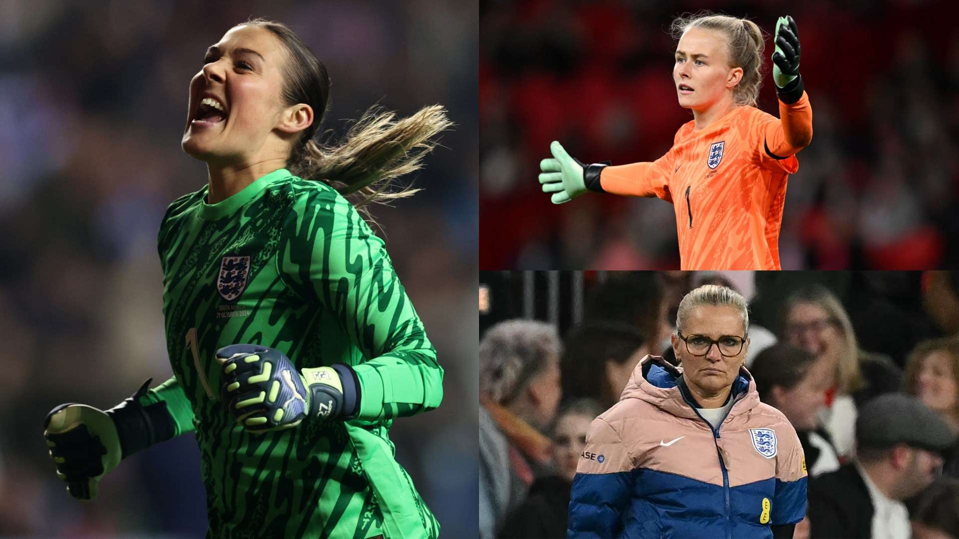 的科学化 的科学化